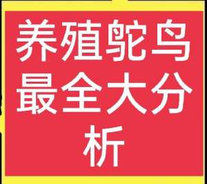 鸵鸟养殖要求(谁说养殖鸵鸟不赚钱？那是方法没用对，这里有养殖鸵鸟全介绍)