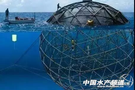 深海大型智能网箱建成后养殖产量1500吨