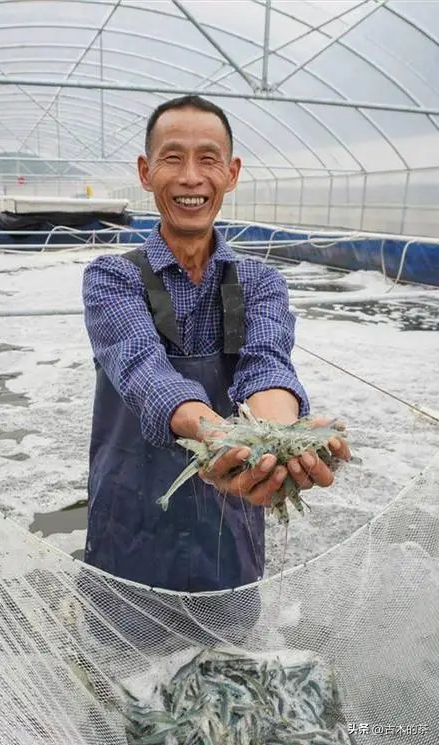 周氏新对虾的生物学特性及养殖技术