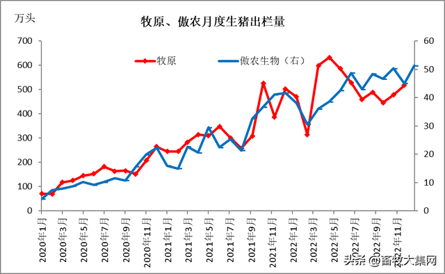 8年出栏量破500万头猪，5年23倍，傲农缔造又一个神话，隐忧？