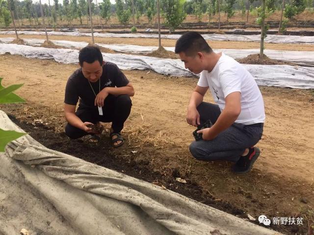 新野县上港乡马建旭：养殖蚯蚓 带贫增收