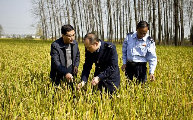 脱贫攻坚战中绽放的税务力量