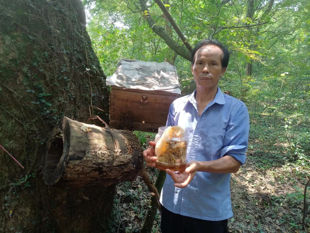 什么蜂蜜最好卖？是土蜂蜜吗？现实情况让人很意外