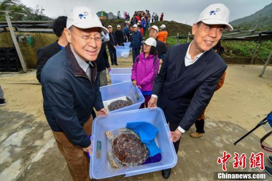 海南保护放归9只海龟“回家”