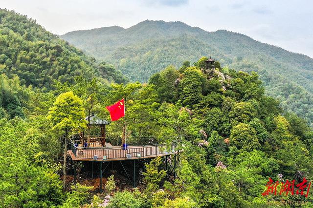 永和镇：美丽经济花正开 乡村振兴谱新篇