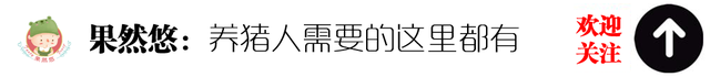 农民养殖户想打败规模化猪场？规模化猪场的这三点优势你先搞明白