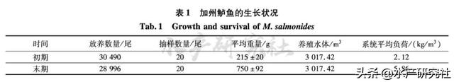 为您详解温室池塘高密度循环水养殖系统构建以及收益是否可观！