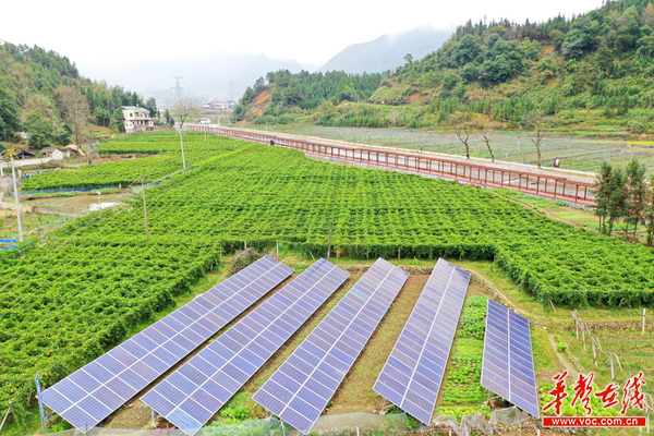 果蔬种植成增收“百香果” 双牌廖家村变乡村旅游“打卡地”