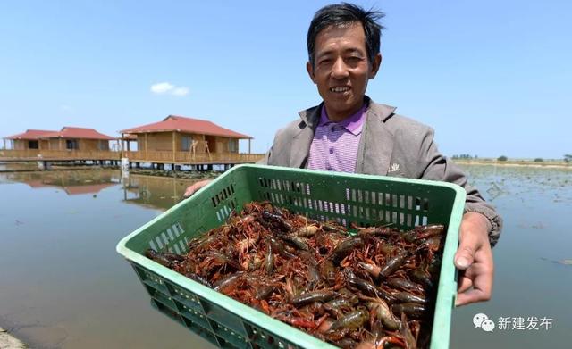 新建这个村坚定走农旅结合绿色之路！把荷塘变成聚宝盆，荷花变成摇钱树！