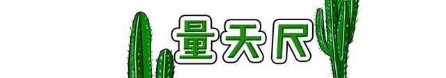 量天尺、珍珠吊兰、千年木..这5种百搭植物，浇水只需记住8个字