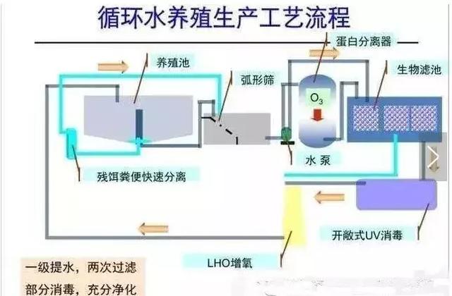 听说你想了解工厂化水产养殖？