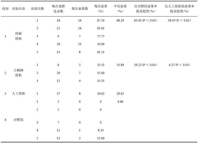 阳春砂仁的栽培管理与采收加工