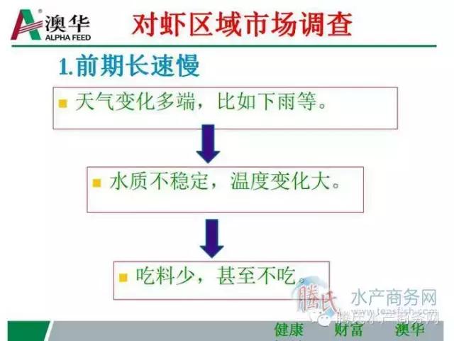 精彩PPT｜向朝林：澳华对虾养殖研究