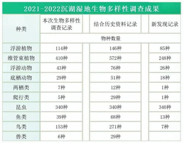 武汉这里，新发现739个物种！