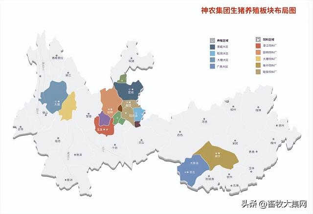 接手温氏养猪项目，成本比肩牧原的神农，逆势扩张，会逆袭吗？