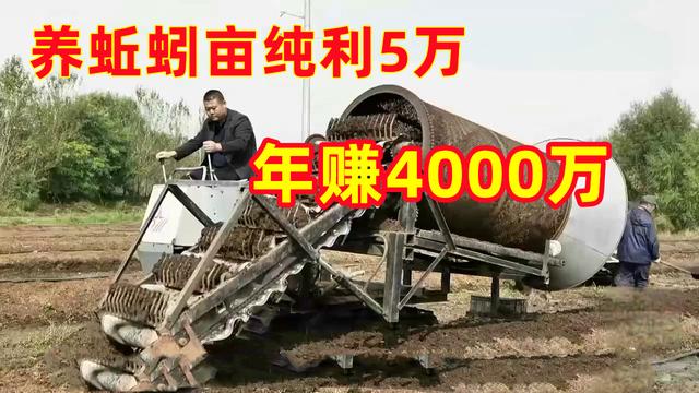 辽宁小伙养蚯蚓，每亩地一年纯赚5万元，年销售额4000多万元