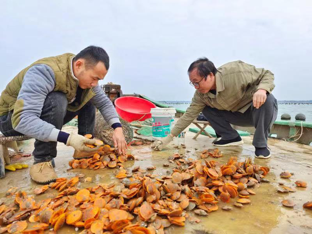 高校教授深入基层“把脉开方”，为水产养殖保驾护航