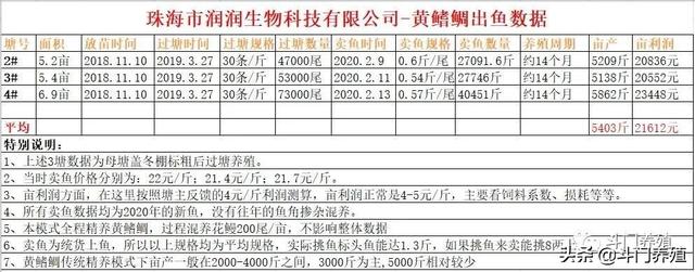 卖鱼最早！规格最大！亩产最高！“黄鳍鲷产业”的革命