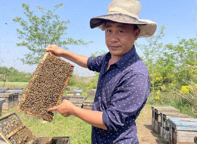 蜂农谭昆明：追赶“春天”的甜蜜事业 带着蜜蜂全国追 花20年跑了30万公里