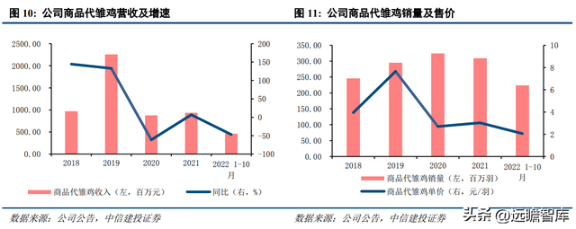 专注白鸡养殖，民和股份：景气上行，商品代雏鸡业务蓄势待发