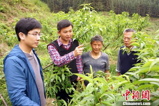 江西老区山村扶贫见闻：碧桃千树向阳开