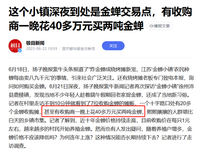 疯狂，有人花40多万收购4000斤金蝉，背后：有养殖户赔光多年积蓄