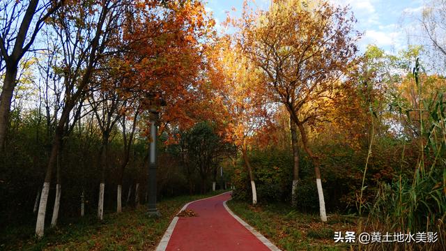 免费游览这个占地近千亩，水禽动物千余只的城市游园，感觉甚好