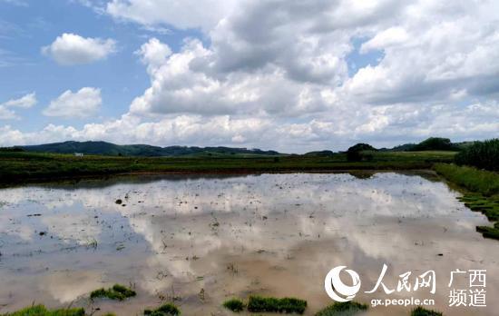 广西崇左：灌溉用“好电”千亩荒地变良田