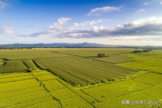 中国人在俄罗斯远东地区种地，钱挣了很多，但是家庭出了问题