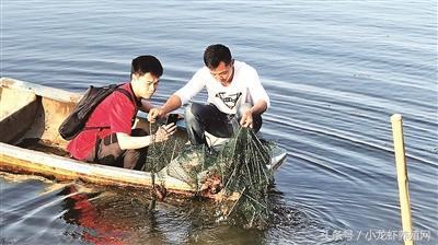 小龙虾养殖前景究竟如何？未来2-3年小龙虾市场还会继续增长吗？