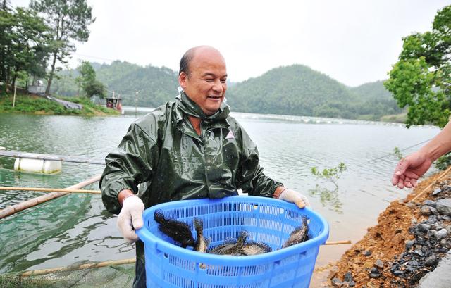 你知道鳜鱼有哪些品种吗？