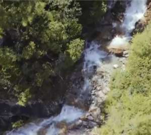 养殖野鸡围网图片(四川男子承包230亩荒山，如今荒山变成聚宝盆，年收入800多万元)