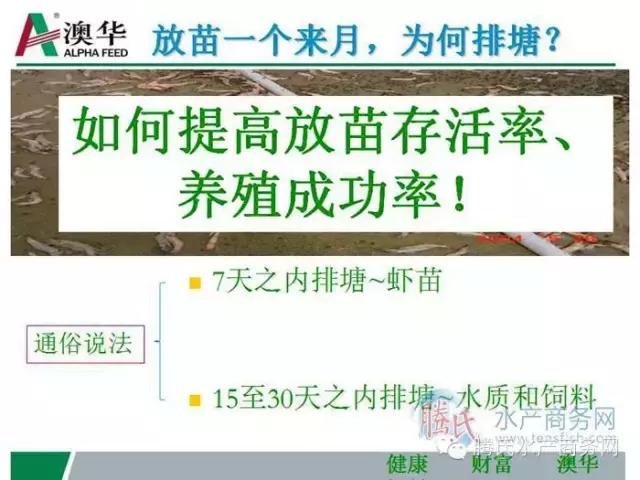 精彩PPT｜向朝林：澳华对虾养殖研究