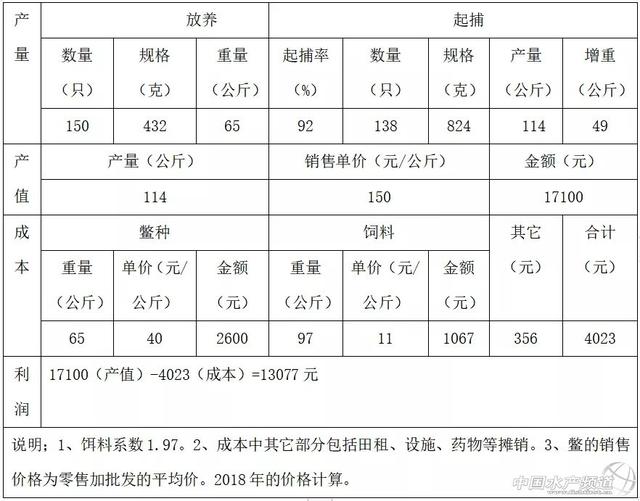 用养殖模式图和数据说话，亩效益10000+｜稻田里养甲鱼