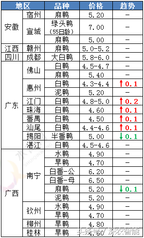 「水禽日报」跳空下行，鸭苗暴跌——8月28日行情走势简析