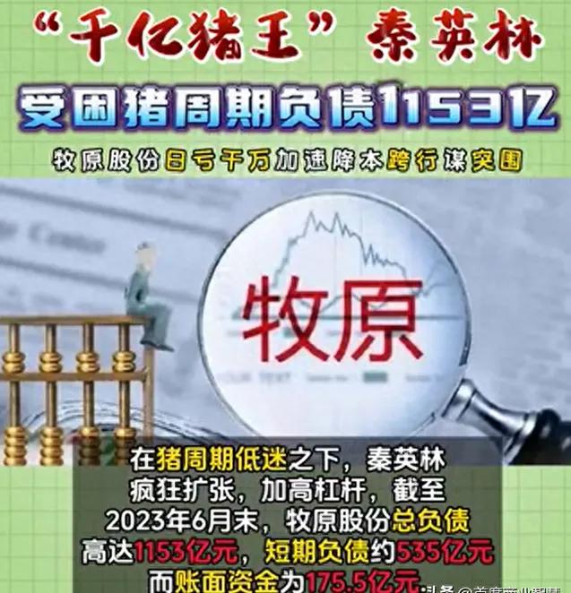 欠债1153亿！又一河南企业暴雷？“千亿猪王”成“欠亿猪王”