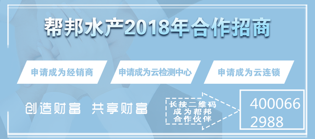 养小龙虾最关键的不是草而是水，养殖户如何把控水质？