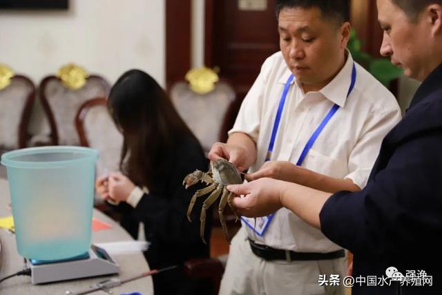 蟹王、蟹后、十大名蟹出炉！2023全国第五届“名蟹大赛”隆重召开