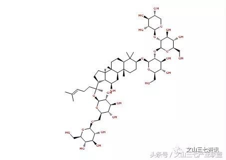 一句话认识文山三七