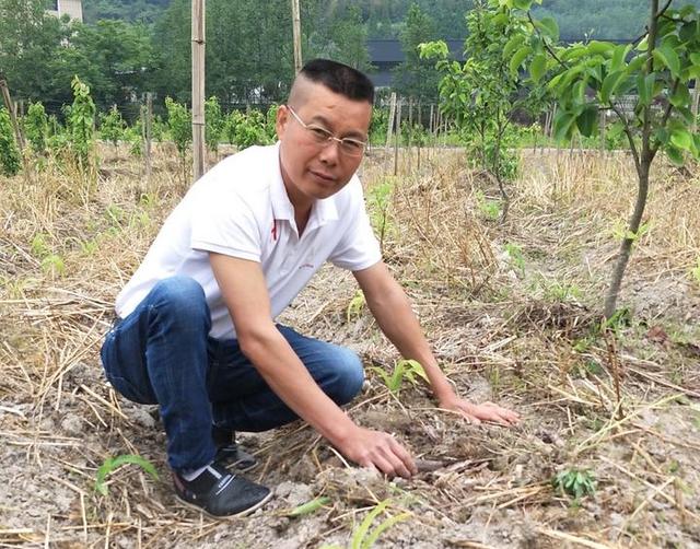 快来看！这群“新菇农” 的新“菇经”