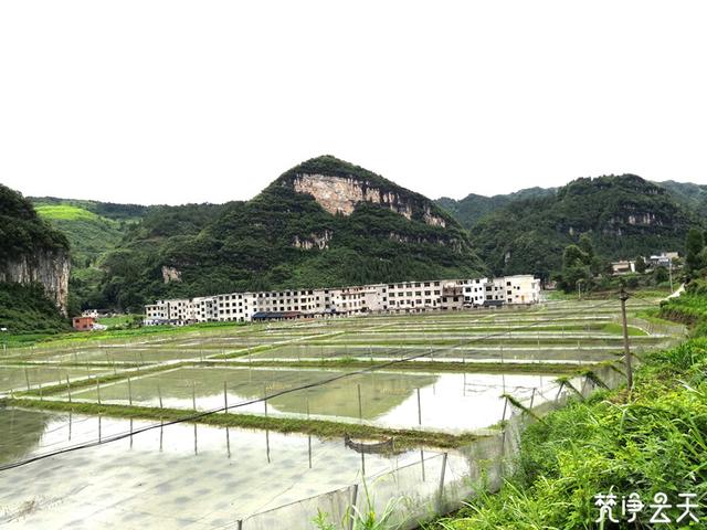 贵州铜仁江口：红彤彤的小龙虾 金灿灿的致富路