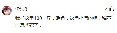 这也能泛滥？翘嘴红鲌入侵四川邛海暴增100吨，呼吁全国钓友出击