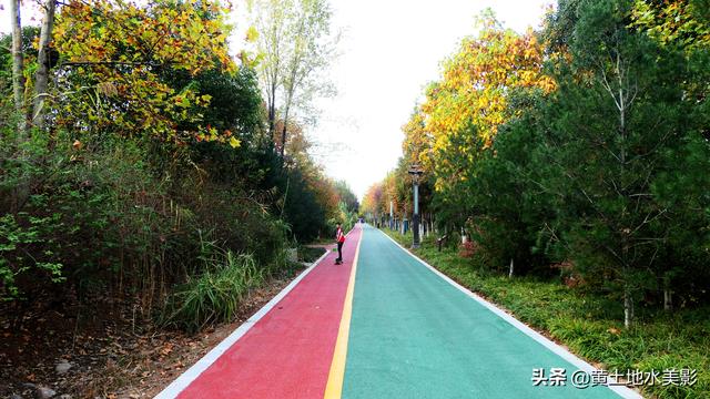 免费游览这个占地近千亩，水禽动物千余只的城市游园，感觉甚好