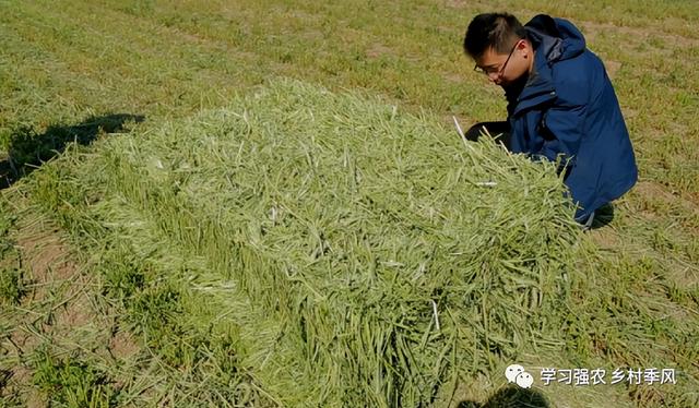 这一协议签署后，山东省饲草产业发展将迈上一个新台阶！