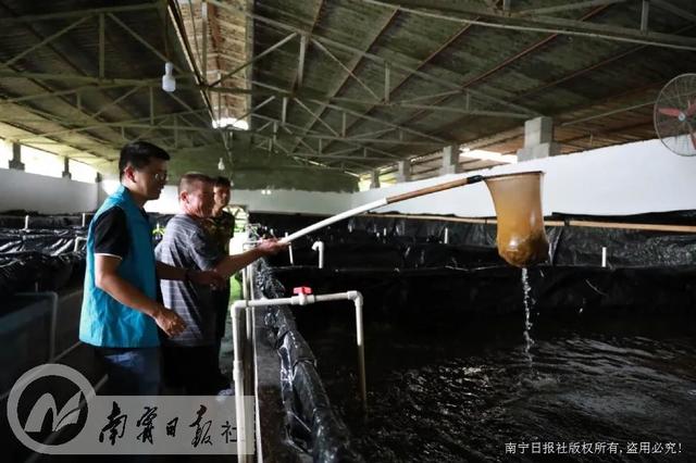 “按照总书记的嘱托，继续与全村人民共同奋斗”——习近平总书记在全国脱贫攻坚总结表彰大会上的重要讲话在首府南宁引起热烈反响