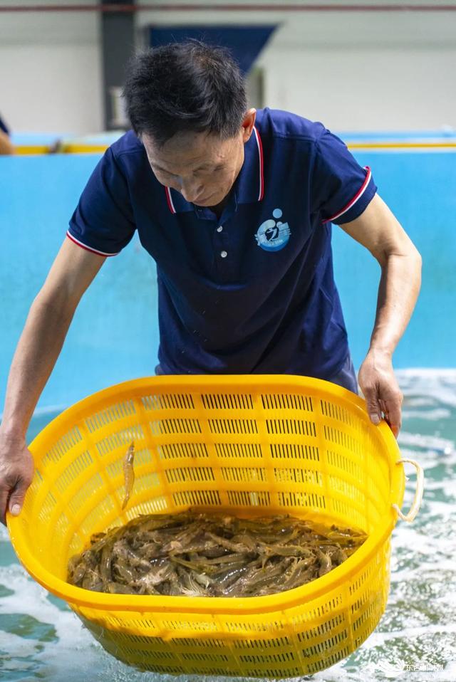 东西湖国家万亩渔业绿色循环试点基地建设加速