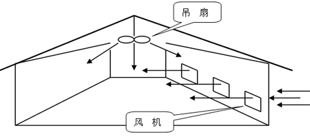 肉鸡饲养管理：通风科学系统设计方案