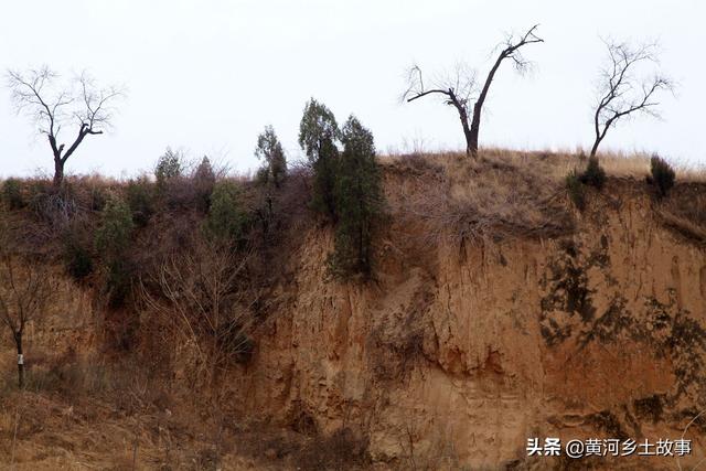 打工不如自己干，山西农民娃在野地养“野兔”，年赚10万元