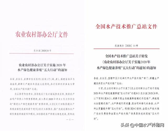 农业农村部助力5种尾水处理模式，不能让尾水问题制约产业发展