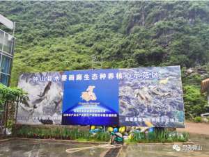 广西淡水鱼养殖基地(【灵秀钟山 水墨画廊】有吃有玩钟山这个自治区休闲农业与乡村旅游示范点，宛如世外桃